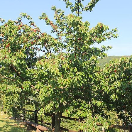 Serra SantʼAbbondio B&B Il Poggetto מראה חיצוני תמונה