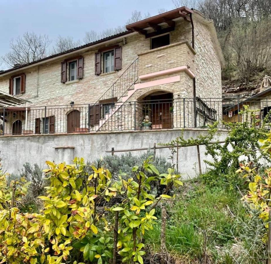 Serra SantʼAbbondio B&B Il Poggetto מראה חיצוני תמונה