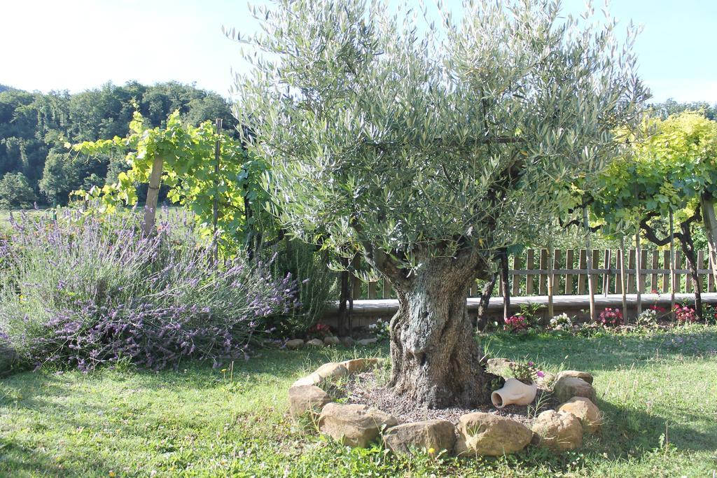 Serra SantʼAbbondio B&B Il Poggetto מראה חיצוני תמונה