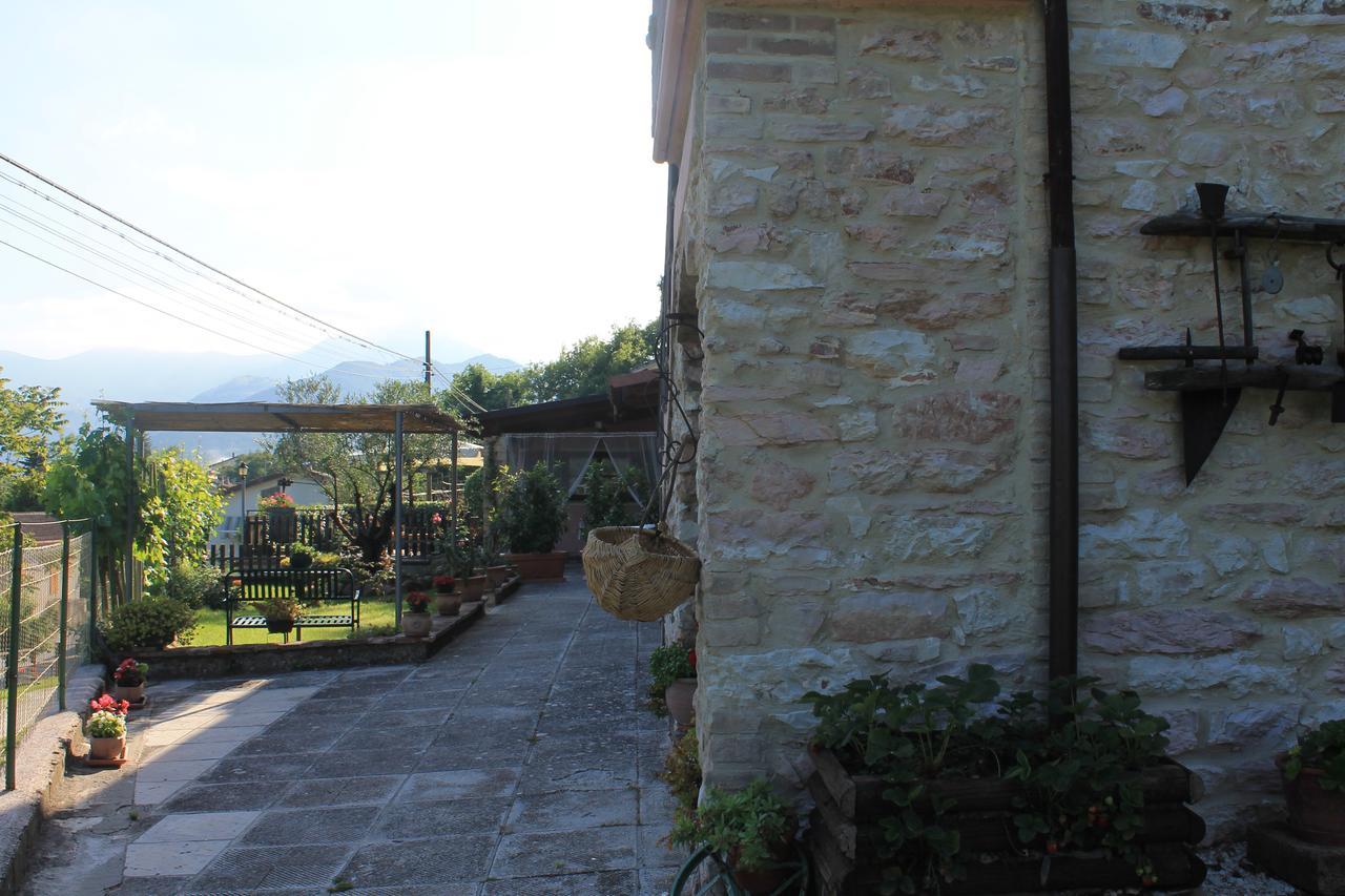 Serra SantʼAbbondio B&B Il Poggetto מראה חיצוני תמונה